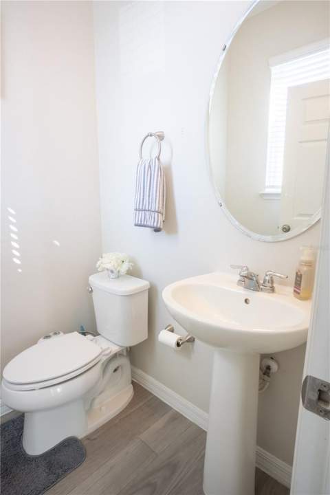 16461 Olive Hill Drive, Winter Garden FL - photo 10 of 41