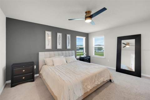 4347 Silver Creek Street, Kissimmee FL - photo 17 of 47