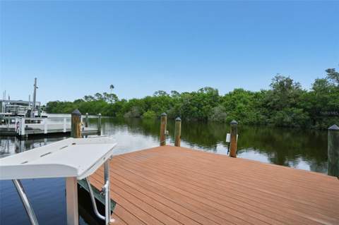6825 Mount Orange Drive #390, St Petersburg FL - photo 14 of 76