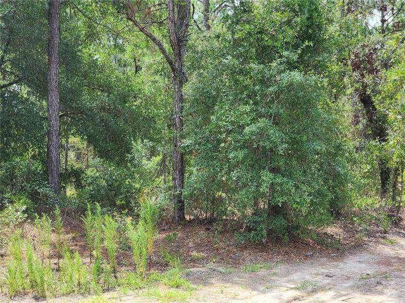 2 bedroom Manufactured Home at 10920 SW 105th Street, Southeasterntuing Land Co, Ocala — photo 4