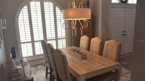 15211 Arbor Hollow Drive, Odessa FL - photo 6 of 6