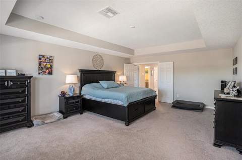 13362 Sage Hollow Avenue, Riverview FL - photo 18 of 36