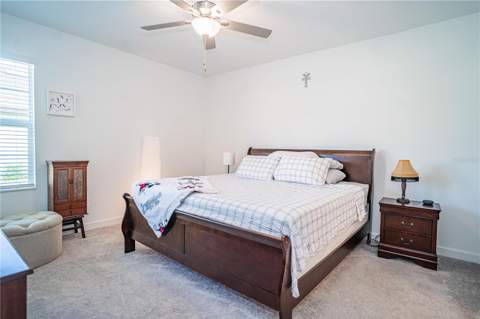 10857 Rustic Eve Court, Land O Lakes FL - photo 13 of 40