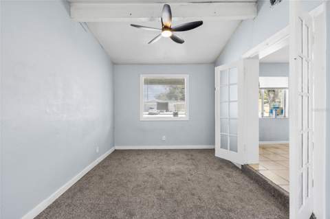 3505 Libby Loop, Tampa FL - photo 12 of 41