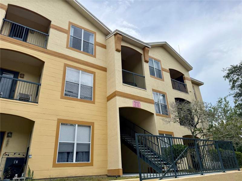 The Pinnacle At Carrollwood A