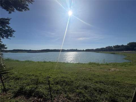 4605 Barnstead Drive, Riverview FL - photo 12 of 16