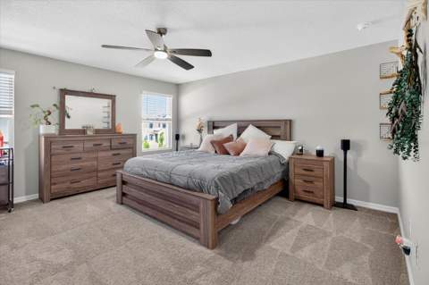 14716 Gallop Run Drive, Lithia FL - photo 21 of 43