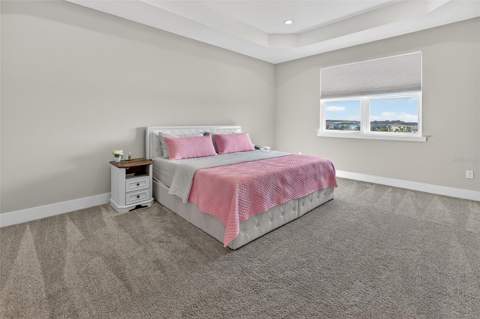5217 Citrus Leaf Boulevard, Winter Garden FL - photo 16 of 28