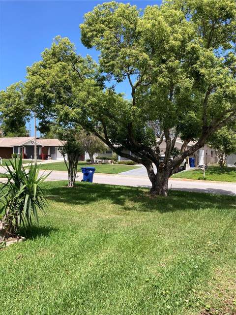 7628 Valley Court, New Port Richey FL - photo 11 of 34