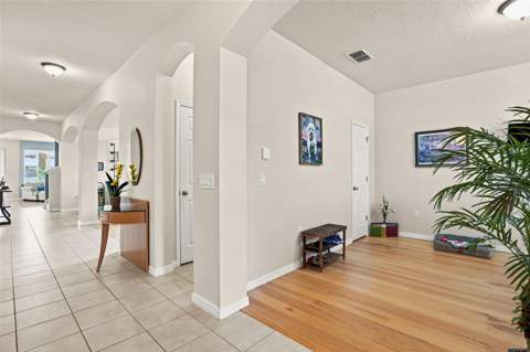 4051 Knott Drive, Apopka FL - photo 6 of 54