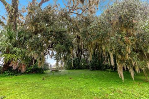 5135 SE 125th Street, Belleview FL - photo 18 of 71
