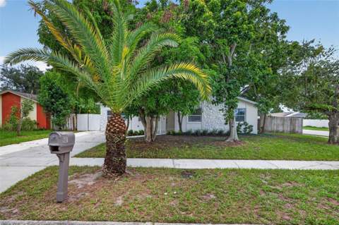 9001 Arndale Circle, Tampa FL - photo 13 of 33