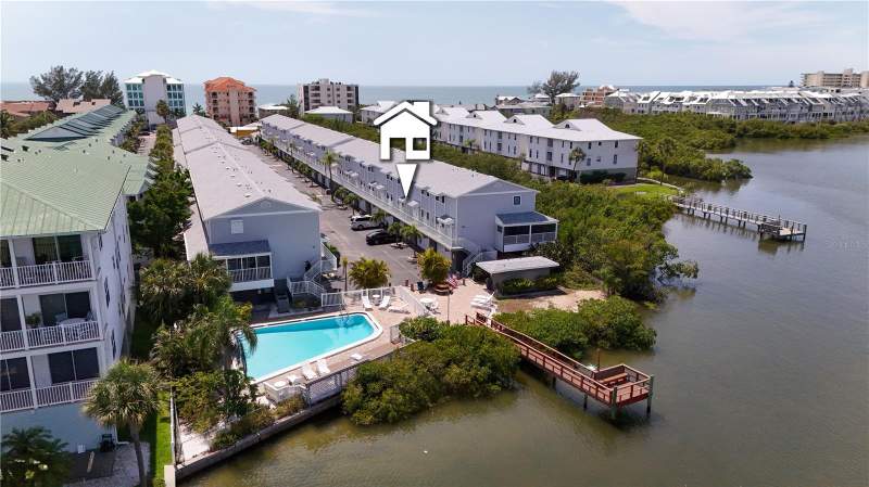 Sea Shell Of Indian Shores