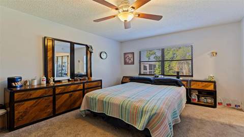 4910 Bay Street #310, St Petersburg FL - photo 15 of 30