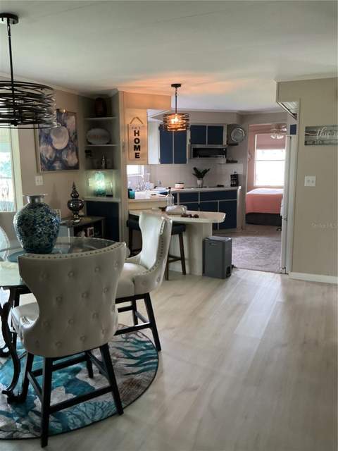 2409 Vindale Road, Tavares FL - photo 17 of 53