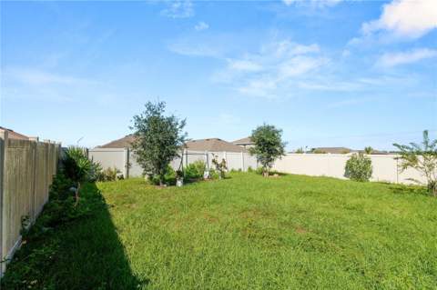 16709 Parker River Street, Wimauma FL - photo 23 of 26