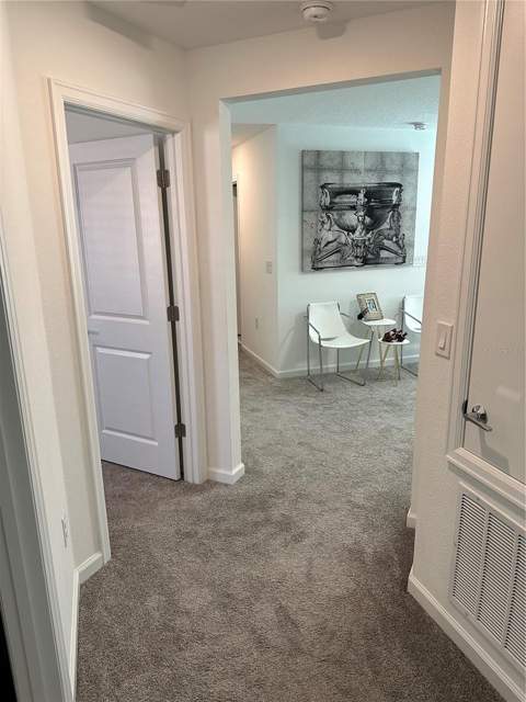 8946 Fluffy Lie Court, Davenport FL - photo 20 of 42