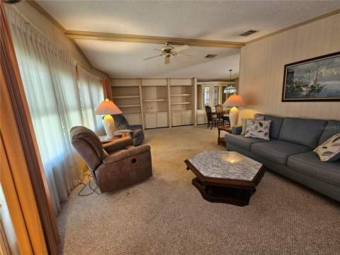 101 Dolphin Drive, Oldsmar FL - photo 10 of 34