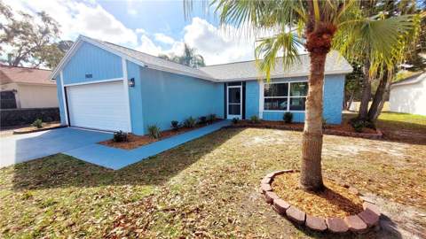 7820 Jenner Avenue, New Port Richey FL - photo 22 of 27