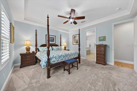 9145 Warm Springs Circle, Parrish FL - photo 24 of 69
