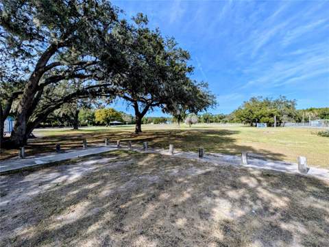 8412 Peterson Road, Odessa FL - photo 7 of 10