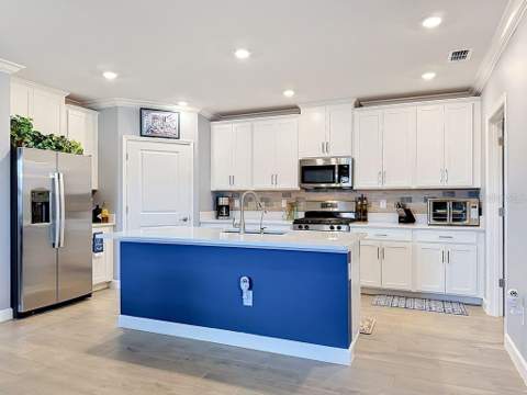 17255 Holly Well Avenue, Wimauma FL - photo 19 of 63