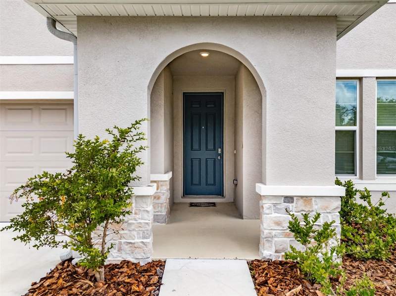 5 bedroom Single Family Residence at 13090 Brookside Moss Drive, Belmond Reserve Ph 1, Riverview — photo 2
