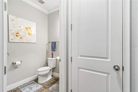 17852 Althea Blue Place, Lutz FL - photo 6 of 6