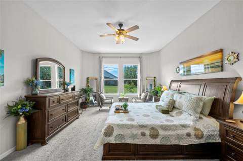 4501 Rolling Green Drive, Wesley Chapel FL - photo 13 of 54