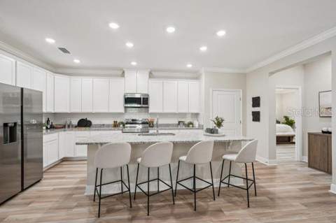 31412 Malbec Drive, Brooksville FL - photo 7 of 30