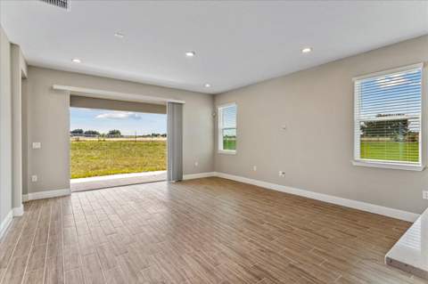 17314 Wild Daisy Drive, Winter Garden FL - photo 10 of 32