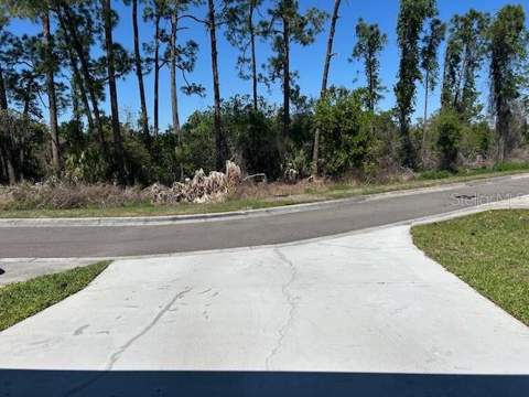 12405 Cruxbury Drive, Windermere FL - photo 21 of 24