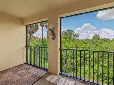 4866 Tuscan Loon Drive, Tampa FL - photo 21 of 27