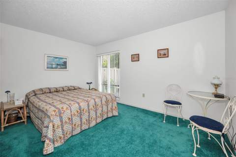 1333 Shady Pine Way #F, Tarpon Springs FL - photo 17 of 43