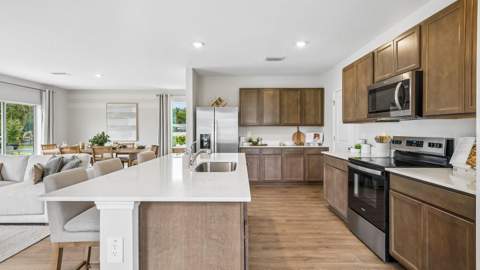 17972 Acorn Drop Road, Land O Lakes FL - photo 13 of 41