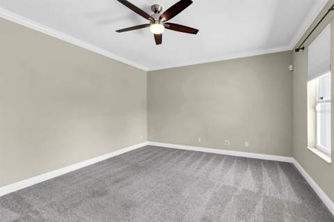 10121 Porch Street, New Port Richey FL - photo 18 of 59