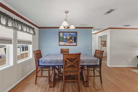 37519 Corey Lewis Avenue, Zephyrhills FL - photo 24 of 49