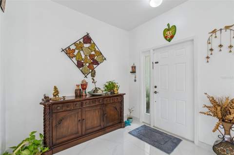 20122 Nob Oak Avenue, Tampa FL - photo 9 of 92