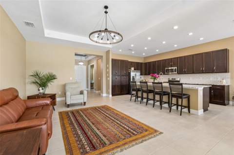 32732 Tree Of Life Avenue, Wesley Chapel FL - photo 10 of 64