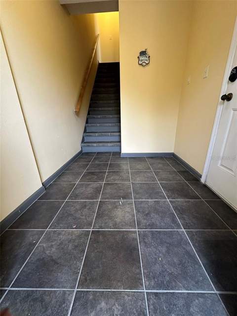 4405 Tuscan Loon Drive, Tampa FL - photo 24 of 24
