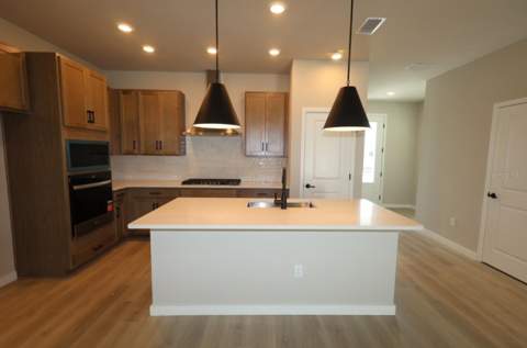 2851 Crimson Cap Street, Odessa FL - photo 8 of 18