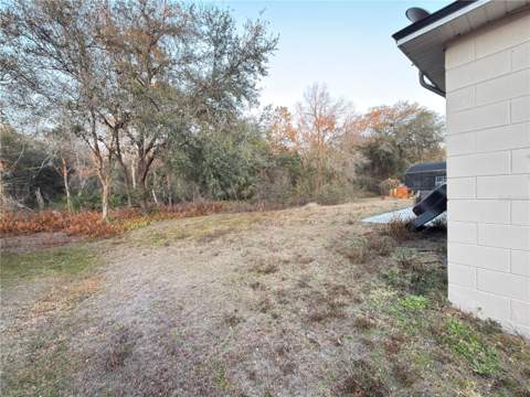 796 Del Prado Drive, Kissimmee FL - photo 7 of 42