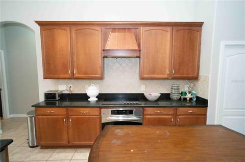 15418 Princewood Lane, Land O Lakes FL - photo 23 of 53