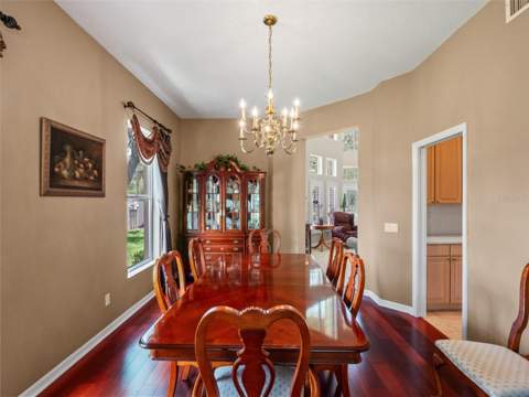 17422 Heather Oaks Place, Tampa FL - photo 13 of 78