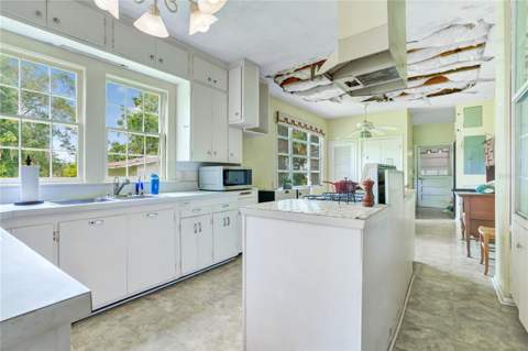2052 Carolina Avenue, Gotha FL - photo 6 of 75