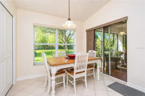 6209 Gannetdale Drive, Lithia FL - photo 12 of 38