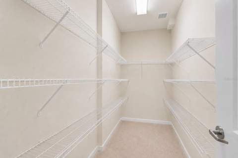 13750 Dowling Lane, Odessa FL - photo 21 of 45