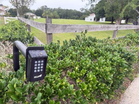 31405 Bear Pond Drive, Sorrento FL - photo 6 of 6