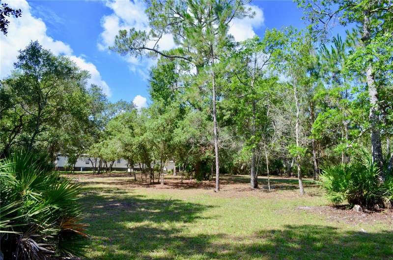 3 bedroom Manufactured Home at 33135 Forest Ridge Road, Forest Rdg #48-51, Deland — photo 5