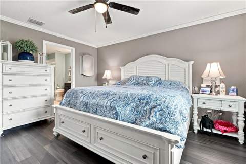 33647 Sky Blossom Circle, Leesburg FL - photo 10 of 19